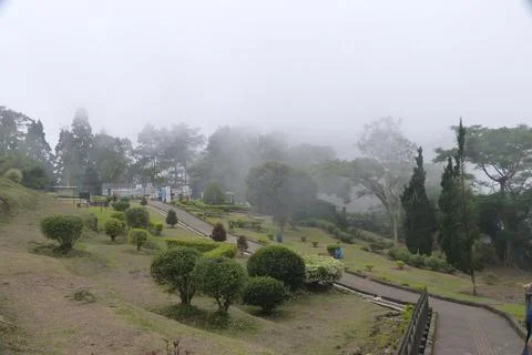 Garden in the Mist Stock Photos