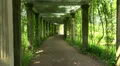 The garden near the Kagul obelisk. Pushkin. Catherine Park. Tsarskoye Selo. 4K. 4k or 4k+ Resolution
