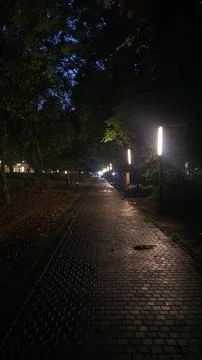 Garden at night Stock Photos