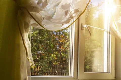 The garden is outside the window Stock Photos