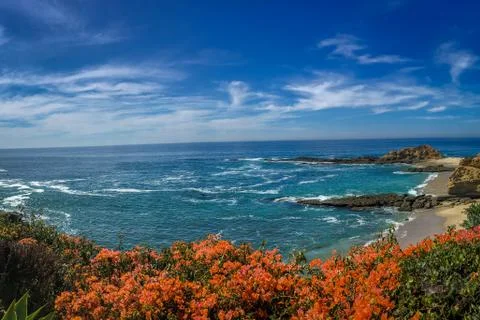 Garden Overlooking Ocean Foto stock