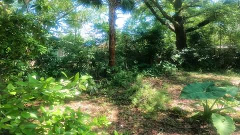 Garden pan Stock Footage 155813527