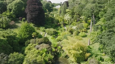 Garden paradise in the sun Stock Footage 312325828