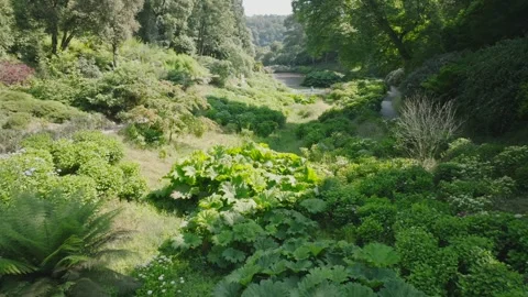 Garden paradise in the sun Stock Footage 312333226