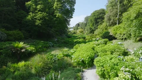 Garden paradise in the sun Video stock 312333470