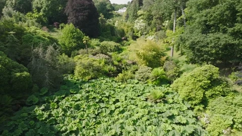 Garden paradise in the sun Stock Footage 312333490