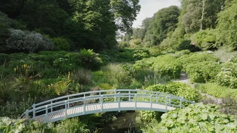 Garden paradise in the sun Video stock 312377212
