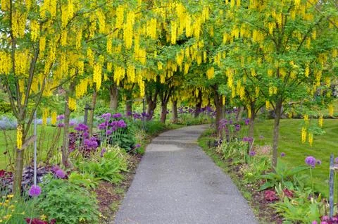 Garden park pathway Stock Photos