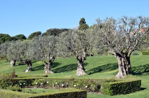 Garden in park Stock Photos