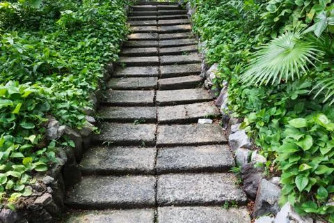Garden passage Stock Photos