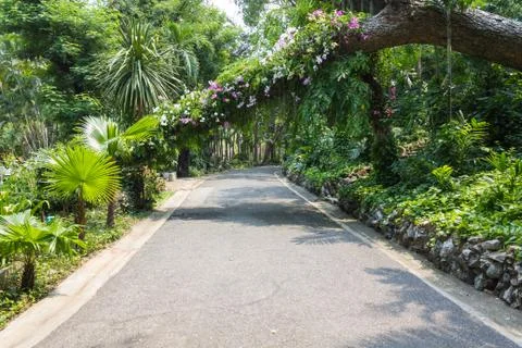 Garden passage Stock Photos