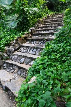 Garden passage Stock Photos