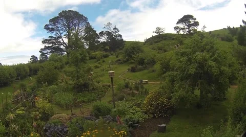 Garden patch in hobbiton Vídeos de archivo 48126012