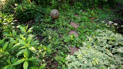 Garden path and gate in spring time Video stock 39672030