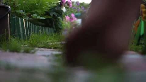 Garden path, bare feet close-up. Man walking along the path along the flower 库存影片 91702376