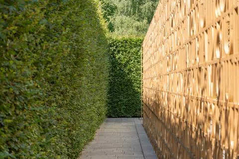 Garden Path Between a Hedge and Wooden Slat Screen Stock Photos