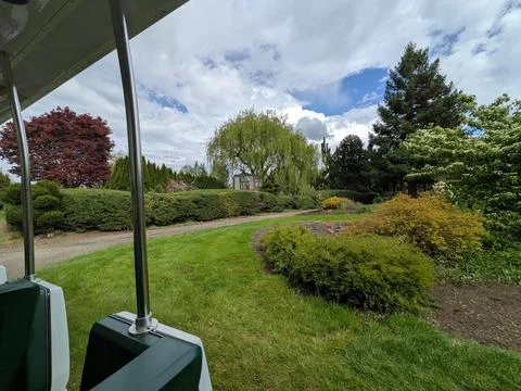 Garden path bordered by manicured hedges, green lawns, a striking red-leaf tree Stock Photos