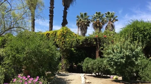 Garden Path CA 1 Wind Stock Footage 73980040