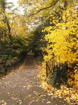 Garden path, dublin 写真素材