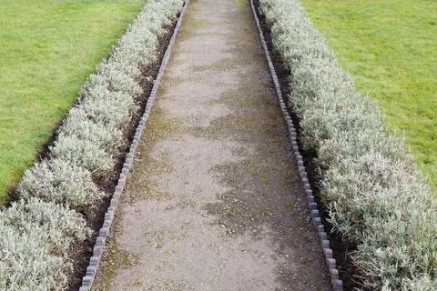 Garden path with edging and dwarf lavender in winter, UK Stock Photos