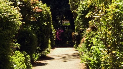 Garden Path Stock Footage 74128814