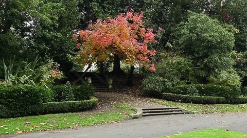 Garden Path  Stock Footage 74150406