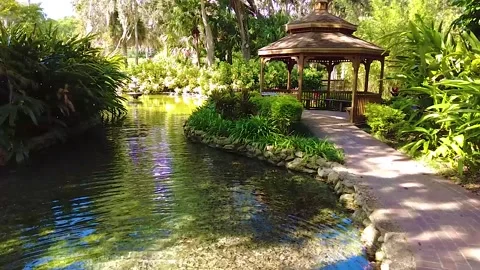 Garden path to gazebo by pond Vídeo Stock 254828026