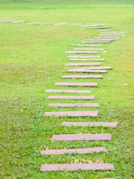 Garden path with grass Stock Photos