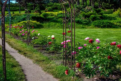 Garden path with iron forged arch surrounded by flower bed. Stock Photos