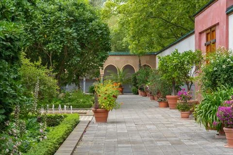 Garden Path Lined with Potted Citrus and Oleander Stock Photos