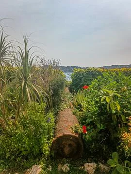 Garden path with log border and red flowers overlooking the sea Фото