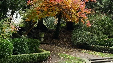 Garden Path London Stock Footage 74149681