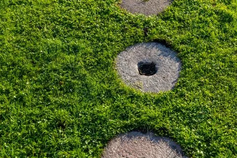 Garden path made of circular stepping stones placed in a row on a lush green  Stock Photos