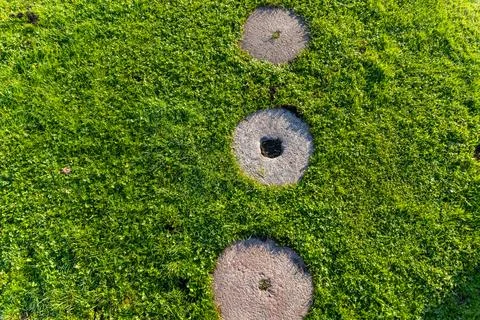 Garden path made of circular stepping stones placed in a row on a lush green  Stock Photos