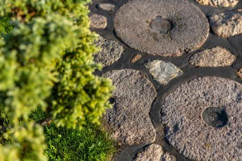 Garden path made of circular stepping stones placed in a row on a lush green  Foto stock