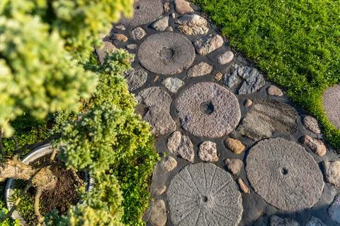 Garden path made of circular stepping stones placed in a row on a lush green  Stock Photos