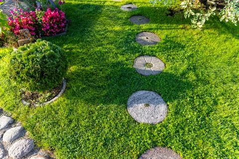 Garden path made of circular stepping stones placed in a row on a lush green  Stock Photos