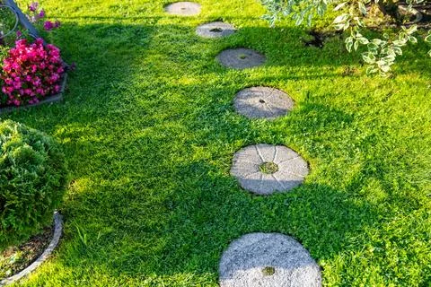 Garden path made of circular stepping stones placed in a row on a lush green  Stock Photos