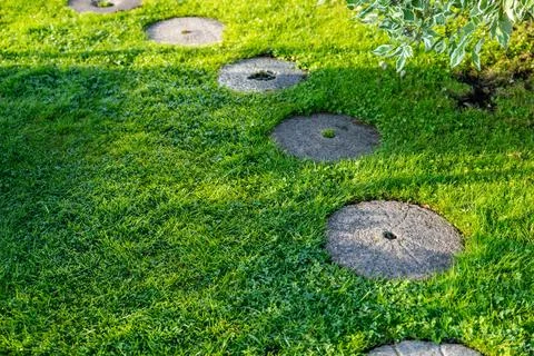 Garden path made of circular stepping stones placed in a row on a lush green  Stock Photos
