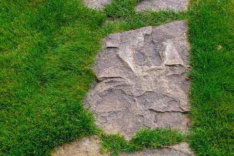 Garden path made of natural rough stone rock overgrown with turf lawn. Stock Photos