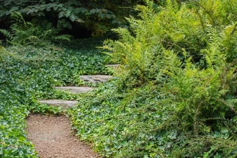 Garden Path to Nowhere Stock Photos