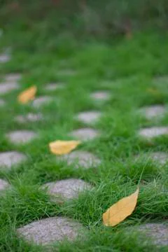 Garden path Stock Photos