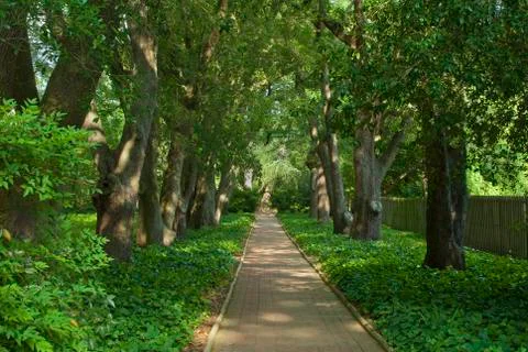 Garden path 스톡 사진