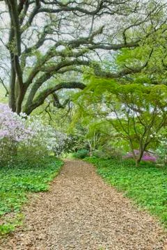 Garden path Stock Photos