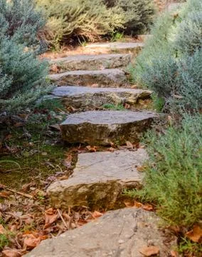 Garden path Foto stock