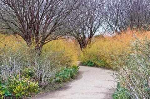 Garden path Stock Photos