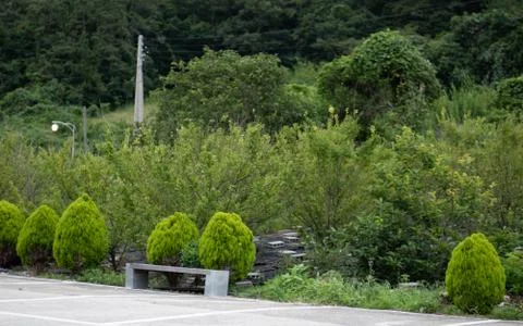 Garden path 库存照片