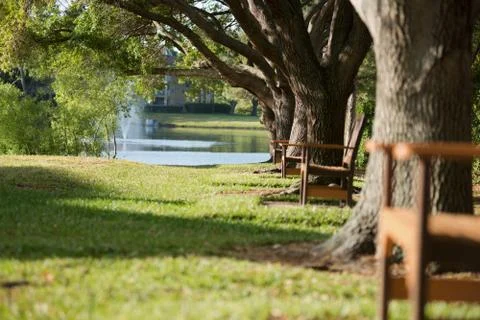 Garden path 写真素材