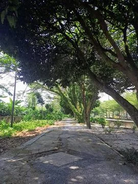 Garden path Stock Photos
