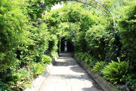 Garden path in the summer Foto stock